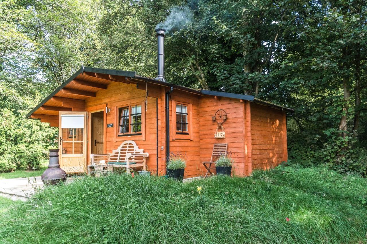 Tranquil Retreat In Carluke